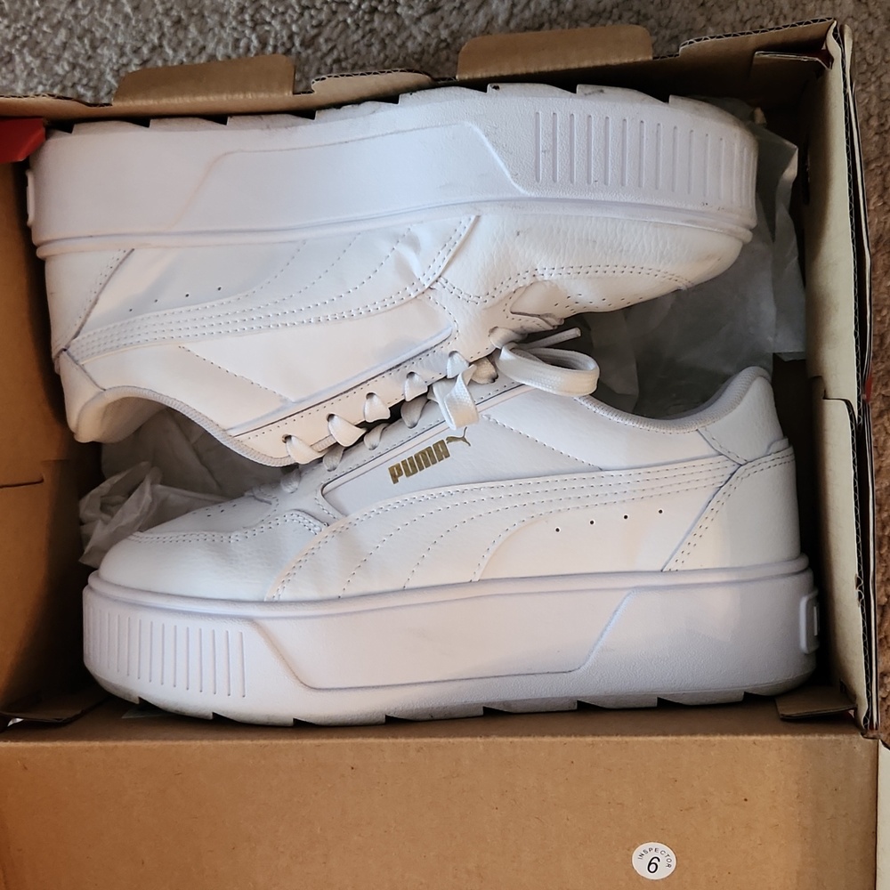 6.5 Pumas